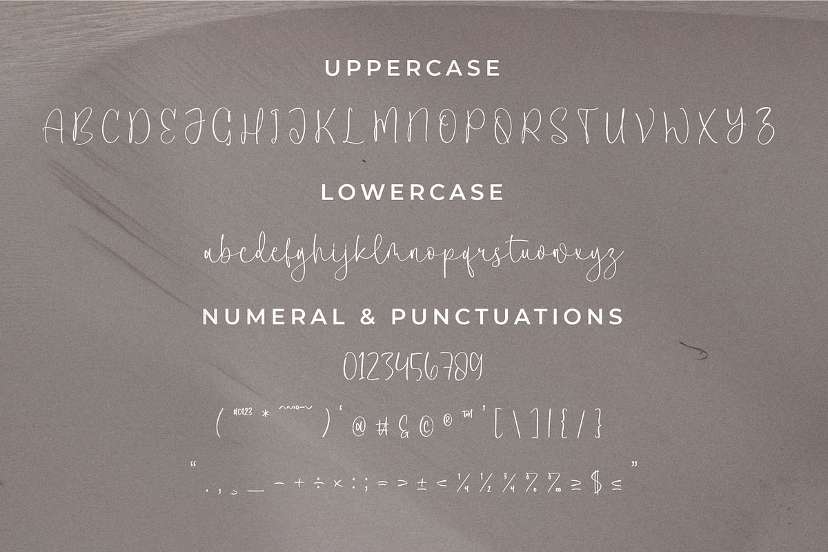 Clanetta, a Script Font by Integritype Studio (Photo 9 of 15)