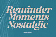 Classical Diary - Serif Font, a Serif Font by Letterhend Studio (Thumbnail 6 of 9)