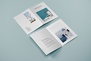 Vertical Bifold Brochure Mockup Set