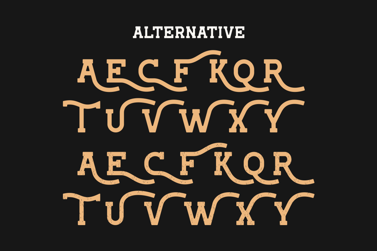 Emsix Champ - Vintage Retro Font, a Slab Serif Font by Viswal Studio (Photo 9 of 12)