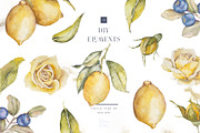 Watercolor lemon and blueberry, an Illustration by MariGraphic boutique (Thumbnail 2 of 13)