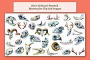 Animal Skulls Watercolor Clip Art, an Animal Illustration by The Curio Cabinet (Thumbnail 2 of 3)
