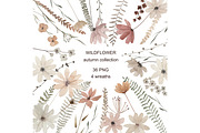 Autumn Wildflower Collection, an Illustration by Natikka Art (Thumbnail 1 of 3)