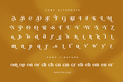 Domick – Elegant Serif Typeface, a Serif Font by Perfectype (Thumbnail 8 of 8)