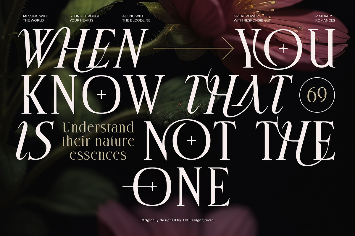 Deloca Moreys Typeface, a Serif Font by alit design (Photo 8 of 20)