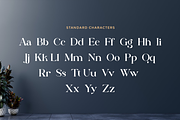 Marietta - Business Font, a Serif Font by RockboyStd (Thumbnail 10 of 12)