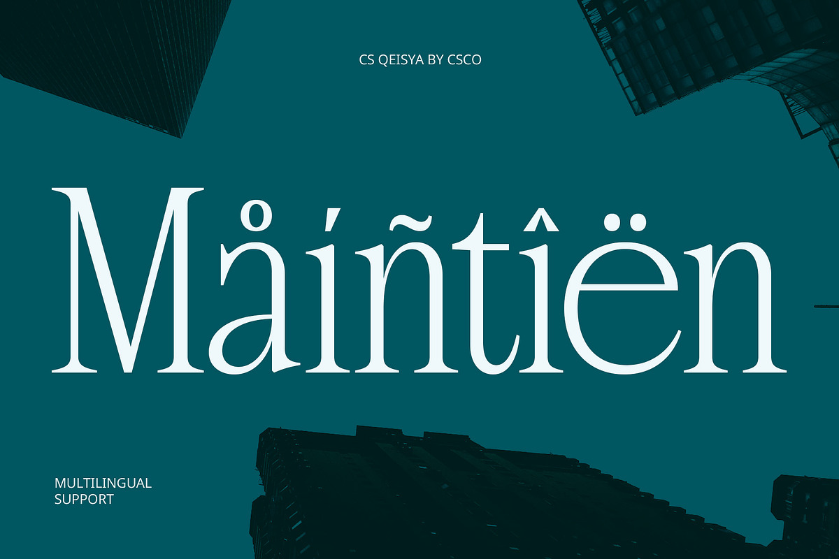 CS Qeisya – Contemporary Font, a Serif Font by Craft Supply Co. (Photo 6 of 8)