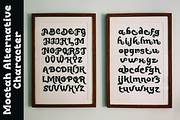 Moctah Serif, a Serif Font by madeDeduk (Thumbnail 8 of 8)
