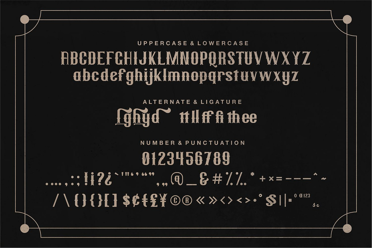 Bresley - Western Font, a Serif Font by VUNIRA (Photo 4 of 6)