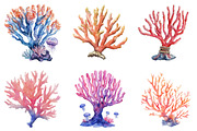 Coral Reef Clipart Bundle, an Illustration by Pixels.Craft (Thumbnail 3 of 8)