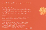 Autumn Silent Modern Handwritten, a Script Font by Letterena Studios Script (Thumbnail 13 of 15)