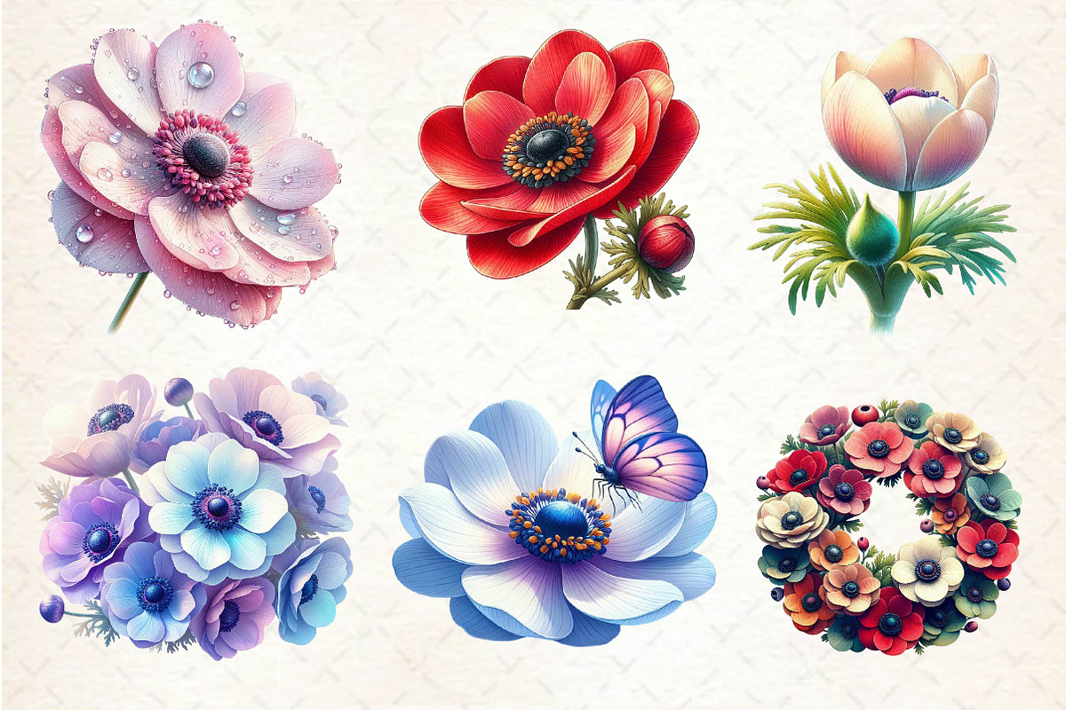 Anemone Flower Bloom Clipart, an Illustration by Dream Creation (Photo 3 of 6)