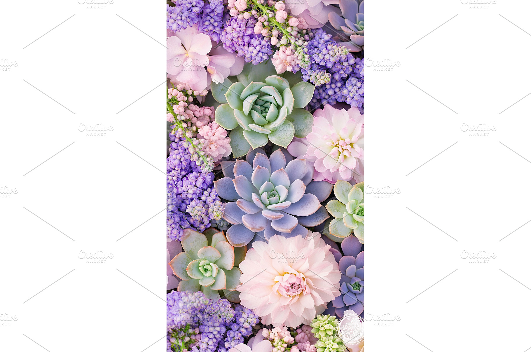 Colorful succulents and spring, a Nature Photo by Lermont51