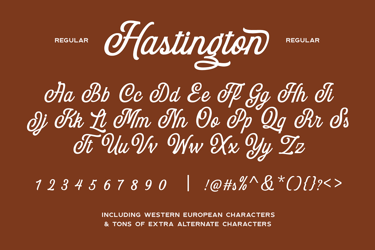 Hastington Script preview 5