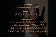 Brugundy Script Fonts, a Script Font by mahstudios (Thumbnail 11 of 13)