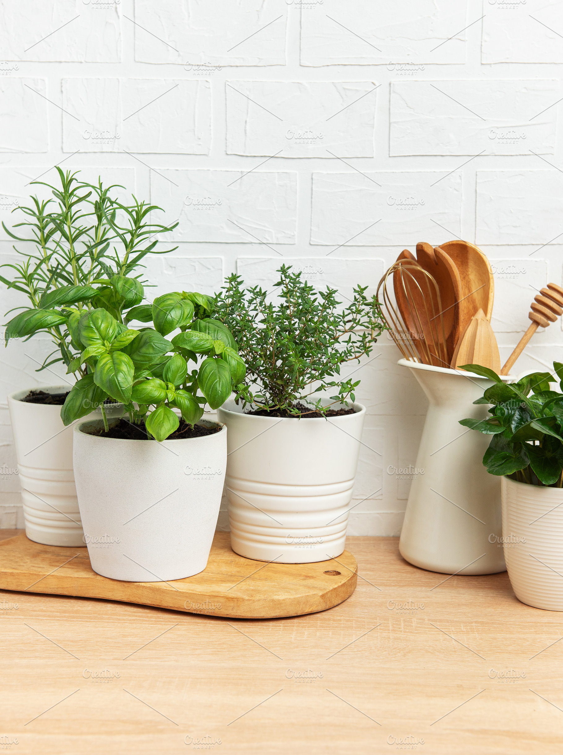 Fresh herbs growing in pots on kitchen countertop, a Food & Drink Photo by Olena Rudo