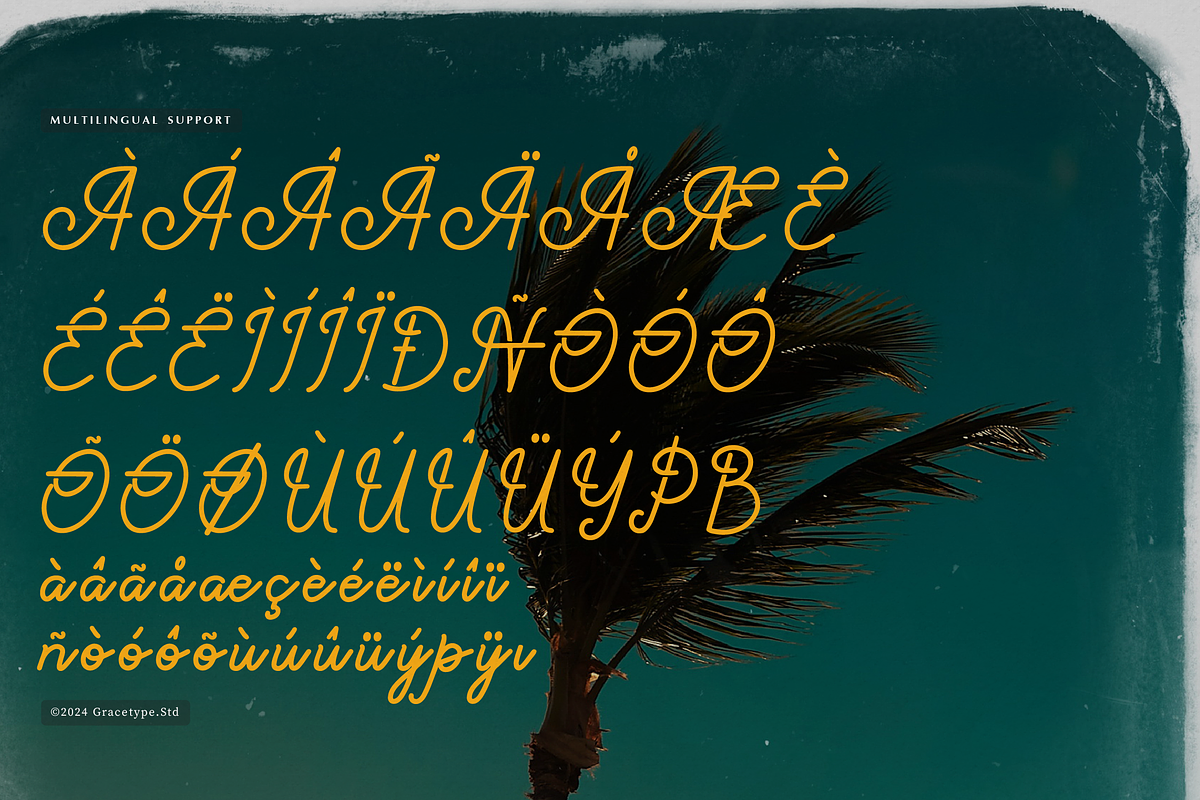 Paradise Gallaiso | Monoline Script, a Script Font by gracetype_studio (Photo 12 of 12)