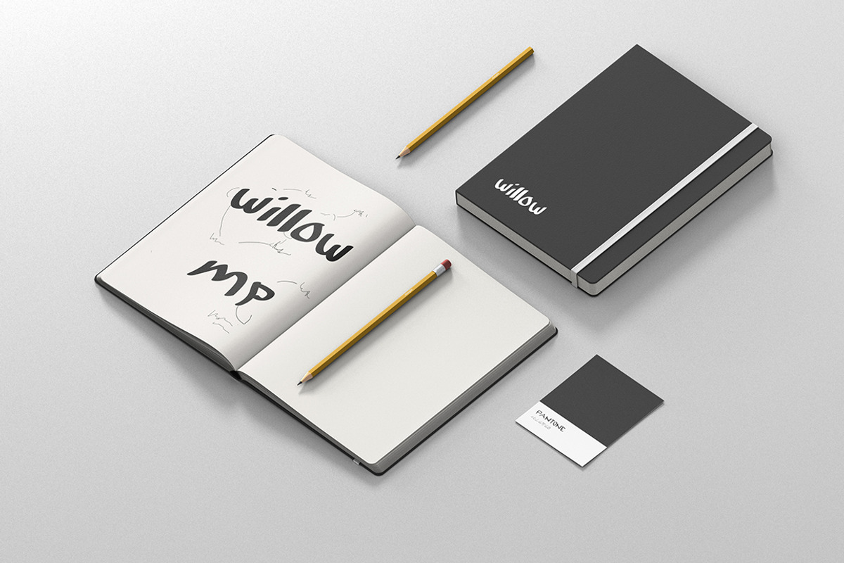 Willow Handwritten Font, a Script Font by PixelHive Pro (Photo 11 of 16)