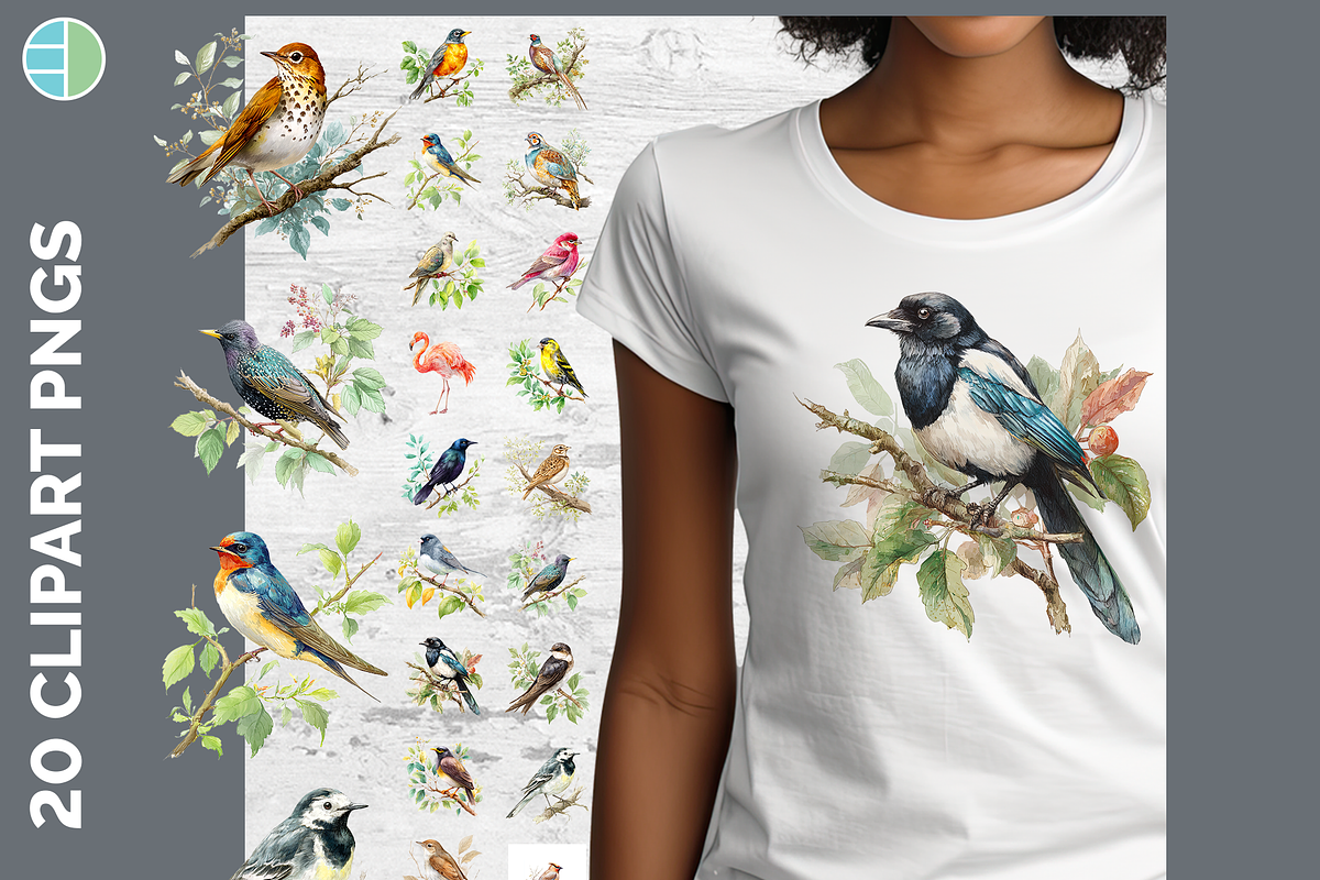 Bird Illustration Bundle, 21 PNG, an Animal Illustration by Enliven Designs (Photo 1 of 8)