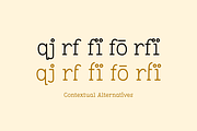 Pleuf Pro - The Complete Family, a Serif Font by Polytype (Thumbnail 9 of 10)