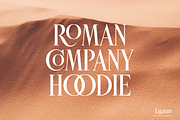 Roisin, a Serif Font by Muhammad Hastian (Thumbnail 8 of 10)