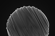 Ultra Thin Spheres 2, an Object Graphic by GarryKillian (Thumbnail 8 of 12)
