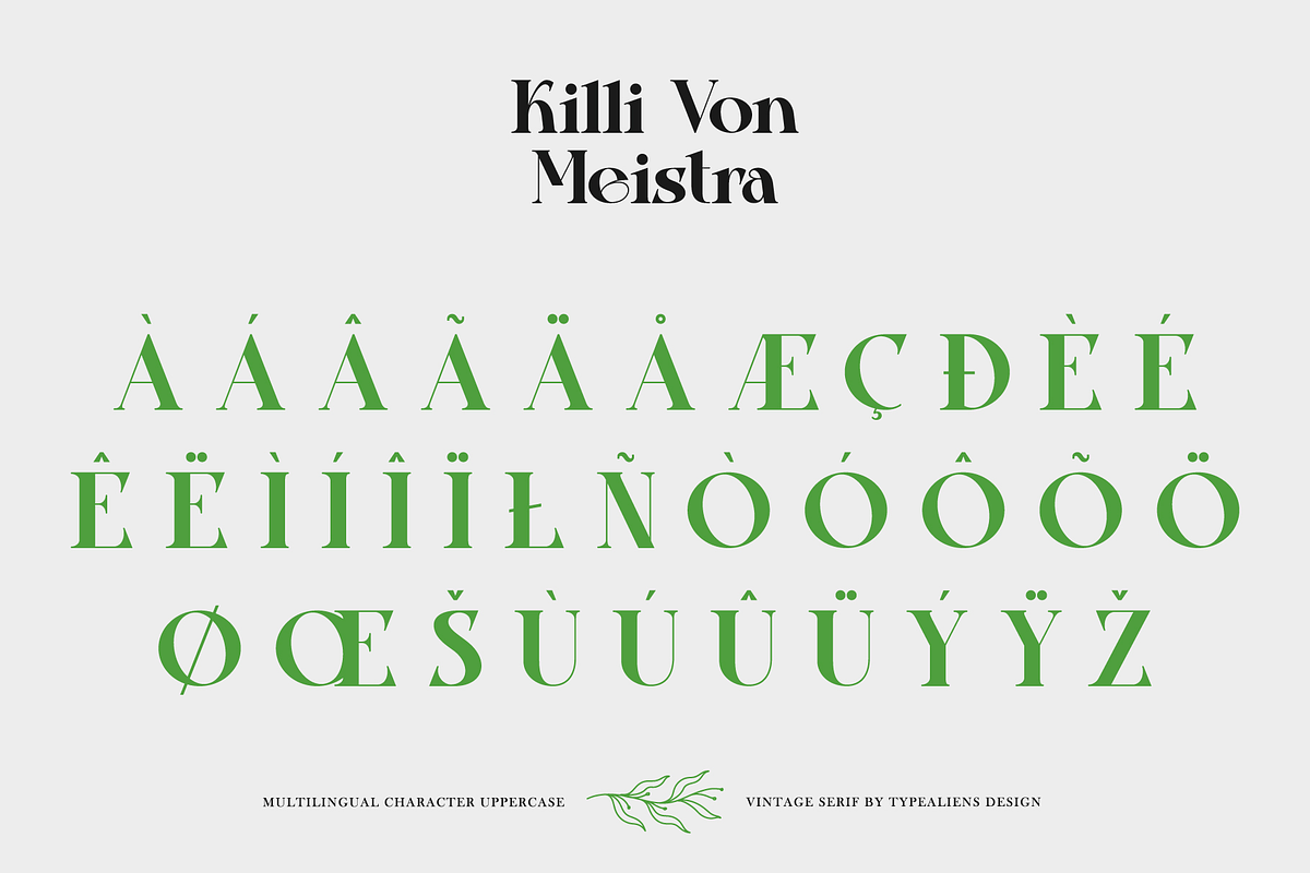 Killi Von Meistra, a Serif Font by ilhamtaro (Photo 9 of 11)