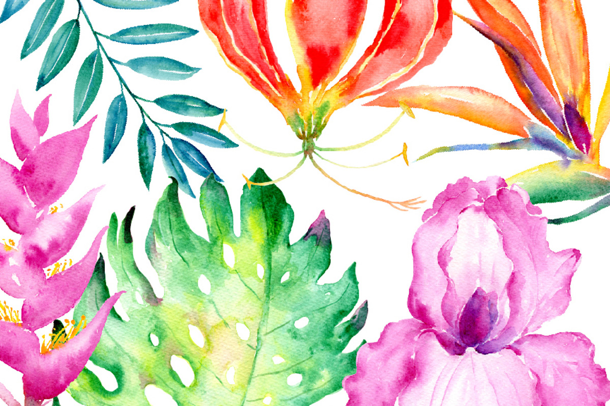 Watercolor Tropical Collection, an Illustration by Corner Croft (Photo 4 of 6)