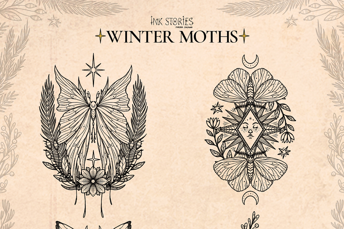 Winter Moths & Evergreen Botanicals, a Seasonal Illustration by Ink Stories (Photo 8 of 15)