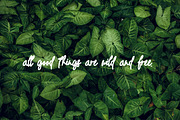 Trassetya - Handwritten Font, a Script Font by Dhabee (Thumbnail 8 of 10)