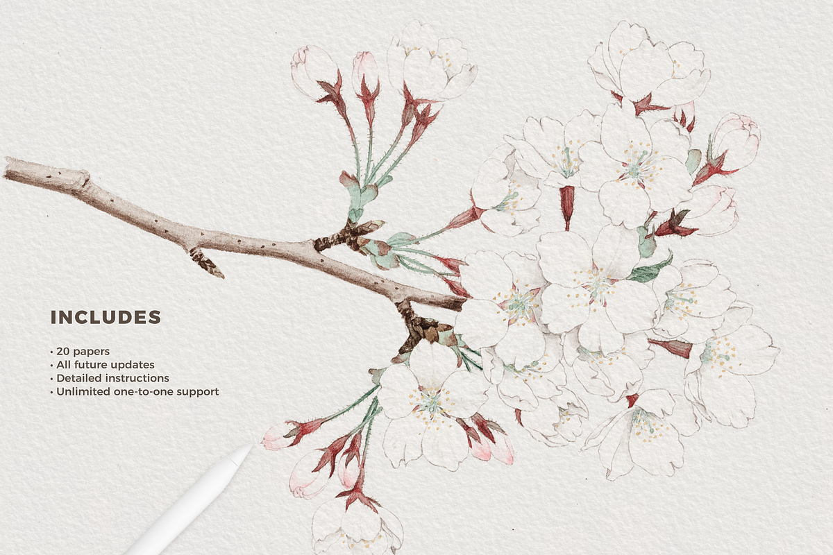 Canvas Creator Procreate Paper, a Brushes & More by Delightful Design (Photo 2 of 5)