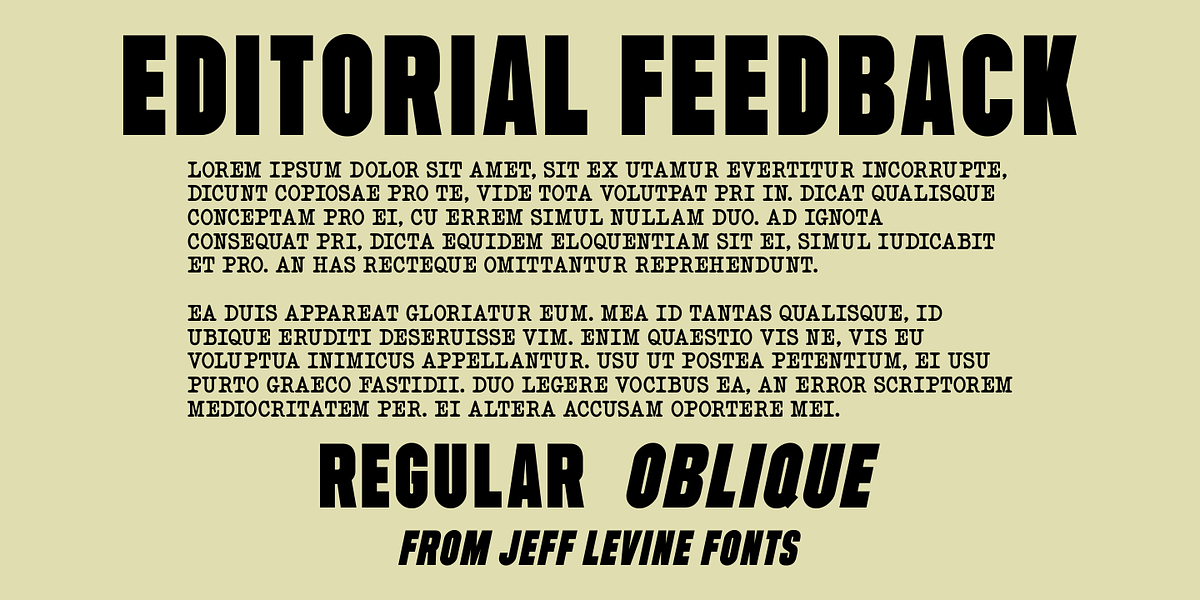 Editorial Feedback JNL, a Sans Serif Font by Jeff Levine Fonts (Photo 1 of 5)
