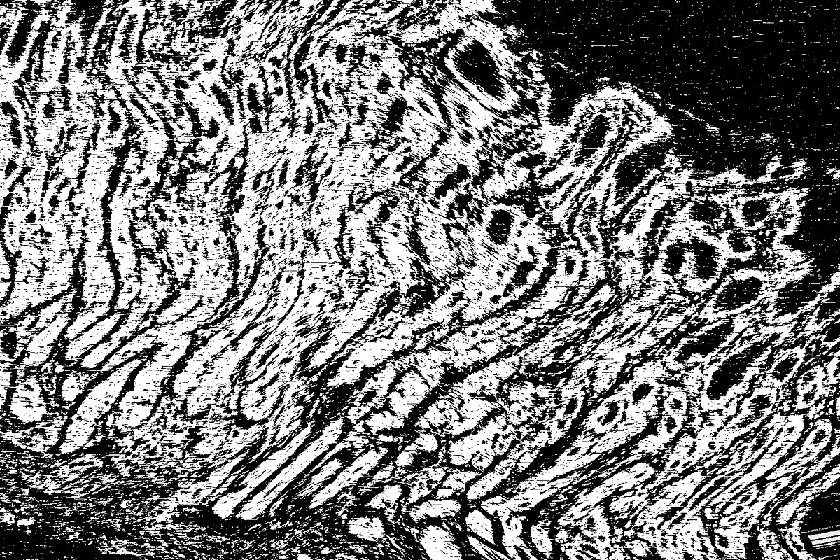 Lilliputian, a Texture Graphic by Jennifer Lauren Creative (Photo 23 of 28)