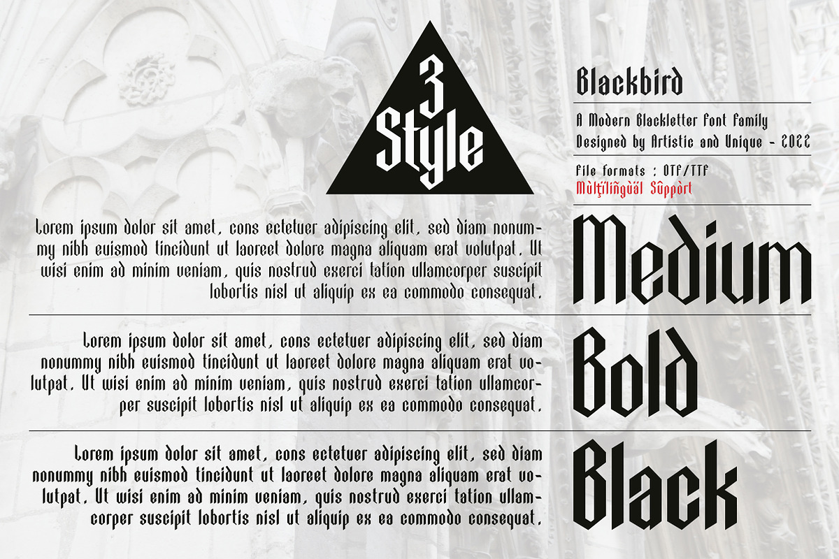 Blackbird - Blackletter font family, a Blackletter Font by Artistic & Unique (Photo 2 of 16)