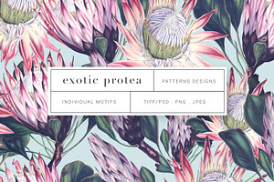 Exotic Protea Prints & Motifs