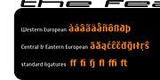 Chiq, a Sans Serif Font by ingoFonts (Thumbnail 7 of 13)