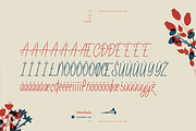 Mouribele Elegant Handwritten Font, a Handwritten Font by infernostudio3 (Thumbnail 10 of 11)