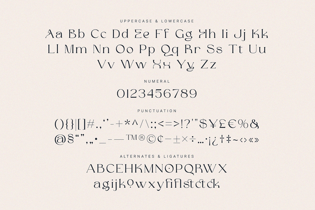 Maigre - Modern Serif, a Serif Font by Prioritype Co (Photo 13 of 15)