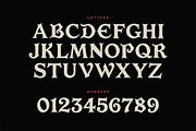 Plunder Typeface, a Font by Tugcu Design Co. (Thumbnail 2 of 4)
