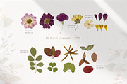 Magic Flowers - watercolor collectio, an Object Graphic by Julia M. Watercolor (Thumbnail 5 of 14)