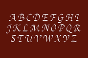 Valeria Neue | Calligraphic Font, a Handwritten Font by OneTen The Studio (Thumbnail 2 of 11)