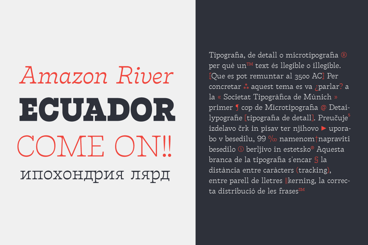 Tarif - 21 fonts, a Slab Serif Font by Zetafonts (Photo 5 of 13)