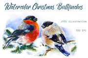SALE! Christmas Bullfinches, a Decorative Illustration by MaryAmi (Thumbnail 1 of 3)