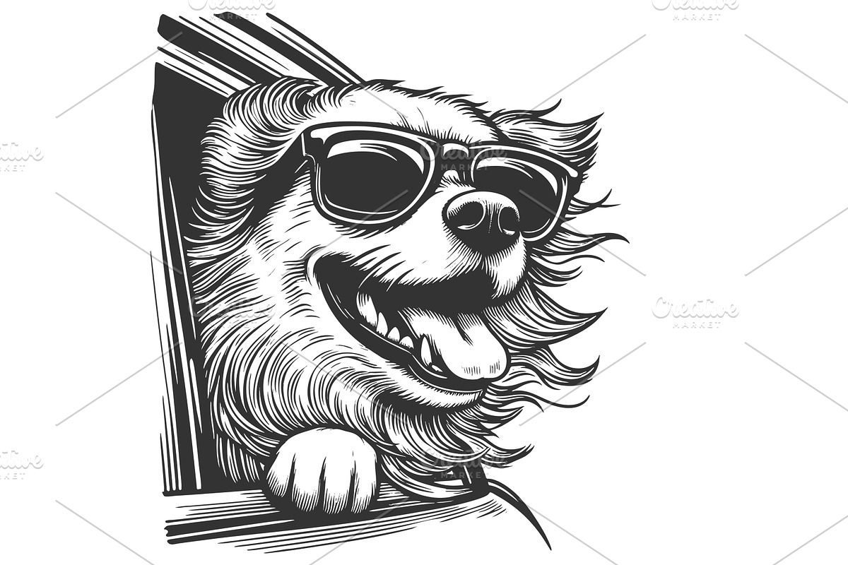 Joyful dog with head out car window, an Animal Illustration by AlexArt