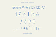 Agnes Modern Display Font, a Serif Font by Laras Wonderland (Thumbnail 11 of 11)