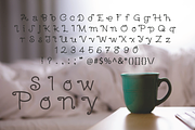 Slow Pony, a Serif Font by Treich Design (Thumbnail 2 of 3)