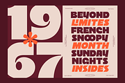 Vankis Font Family, a Sans Serif Font by zeenesia (Thumbnail 20 of 21)