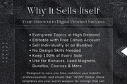 PLR Vault: Digital Business Bundle, a Templates & Theme by Digital Content Mix (Thumbnail 10 of 11)