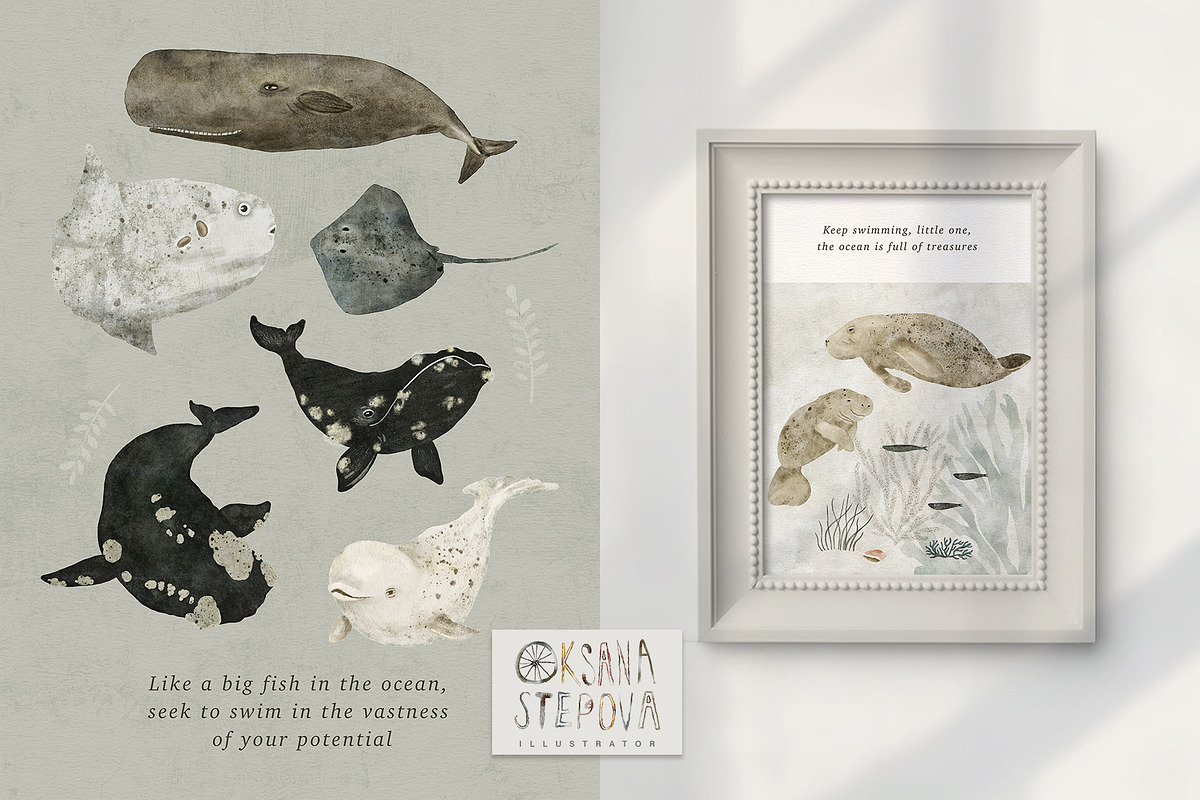 AQUATALES | 170+ elements, an Animal Illustration by Oksana Stepova (Photo 12 of 19)