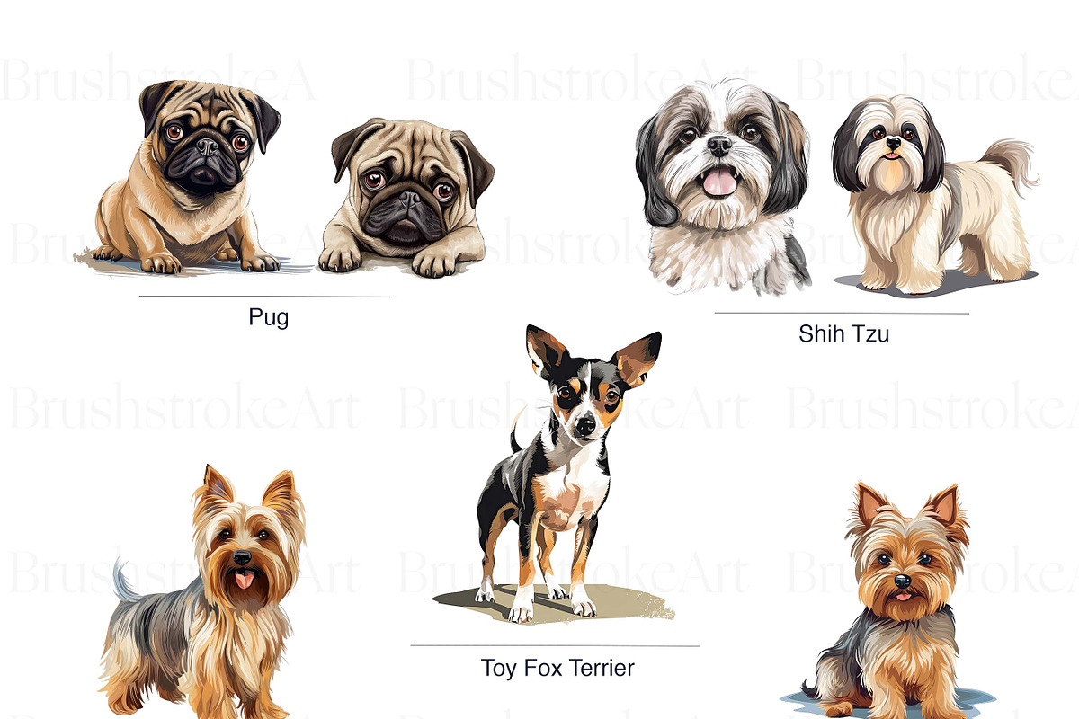 Toy Group Dogs Illustrations Clipart, an Animal Illustration by BrushstrokeArtGB (Photo 5 of 9)
